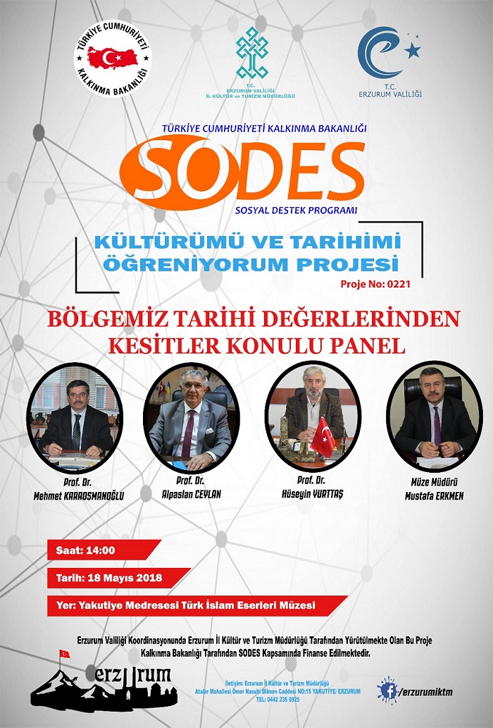Sodes Panel